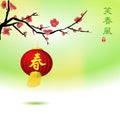 Plum blossom background with red chinese lanterns