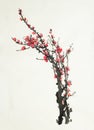 Plum blossom branch