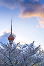 The plum blossom foil of the central radio and television tower