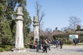 The plum blossom in full bloom in Plum Blossom Hill