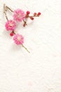 Plum blossom, Japanese celebration flower,