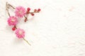 Plum blossom, Japanese celebration flower,