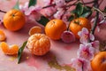 Plum blossoms flower and mandarin orange symbol of prosperity, lunar new year pink backdrop , Chinese new year background.