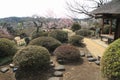 Plum blossoms and Kobuntei in Kairaku en, Mito