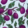 Plum branch with fruit seamless pattern