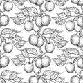 Plum branch seamless pattern. Vector drawing. Hand drawn isolate Royalty Free Stock Photo