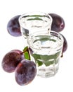 Plum brandy with plums isolated on white background Royalty Free Stock Photo