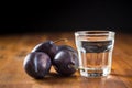 Plum brandy and plums. Slivovitz. Royalty Free Stock Photo