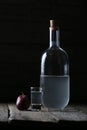 Plum brandy, Romanian tuica alcohol drink Royalty Free Stock Photo