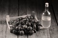 Plum brandy, Romanian tuica Royalty Free Stock Photo