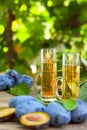 Plum brandy or schnapps Royalty Free Stock Photo