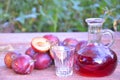 Plum brandy or schnapps with fresh and ripe plums in the grass. Bottle of homemade brandy and jiggers