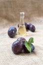 Plum brandy or schnapps and tasty plum fruit. Royalty Free Stock Photo