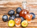 Plum brandy or slivovitz with fresh ripe plums Royalty Free Stock Photo