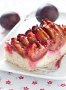 Plum cake Royalty Free Stock Photo