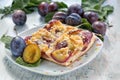 Plum cake Royalty Free Stock Photo