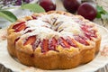 Plum cake. Royalty Free Stock Photo