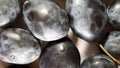 Plum. 360 degrees, color vegetable background. Vegetarian, diet food video