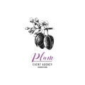 Plum event agency logo template