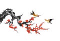Plum flower and bird painting decorative painting Royalty Free Stock Photo
