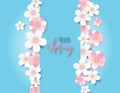 Plum flower or cherry blossom with blue background Royalty Free Stock Photo