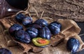 Plum. Fresh plum. Harvest. fresh blue plums on a dark table. Autumn harvest of plums. healthy eating concept. Food Photo Royalty Free Stock Photo