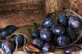 Plum. Fresh plum. Harvest. fresh blue plums on a dark table. Autumn harvest of plums. healthy eating concept. Food Photo Royalty Free Stock Photo