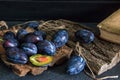 Plum. Fresh plum. Harvest. fresh blue plums on a dark table. Autumn harvest of plums. healthy eating concept. Food Photo Royalty Free Stock Photo