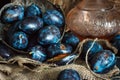 Plum. Fresh plum. Harvest. fresh blue plums on a dark table. Autumn harvest of plums. healthy eating concept. Food Photo Royalty Free Stock Photo