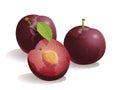 Plum Fruit Royalty Free Stock Photo