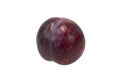 Plum fruit, a fruit can be used in jam making recipe