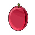 Plum fruit. The isolated object on a white background. Vector,Ripe. Cartoon flat style. Illustration. Royalty Free Stock Photo