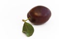 Plum fruit with leaf