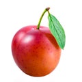 Plum. Fruit with leaf isolated on white Royalty Free Stock Photo