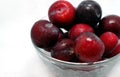 Plum fruits