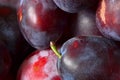 Plum fruits closeup