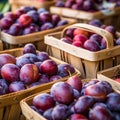 plum fruits