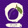 Plum hand drawn sketched fruit with leaf on background with dots pattern. Doodle vector plum for logo, label, brand identity.