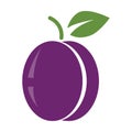 Plum icon in flat design