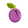 Plum icon, flat style