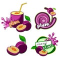 Plum icon illustration isolated