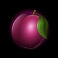 Plum icon isolated on black background