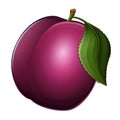 Plum icon isolated on white background