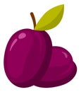 Plum icon. Sweet ripe fruit for jam and dessert Royalty Free Stock Photo