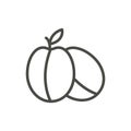 Plum icon vector. Outline fruit, line plum symbol.