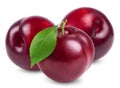 Plum isolated. Ripe red plums on a white background. Royalty Free Stock Photo