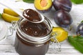 Plum jam and fresh plums Royalty Free Stock Photo