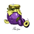 Plum jam.Hand drawn illustration. Ink sketch of canning plum, isolated on white background.