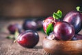 Plum. Juicy ripe organic plums closeup Royalty Free Stock Photo