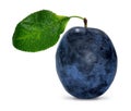 Plum with leaf